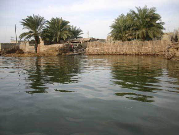 پرونده:جازموریان.jpg