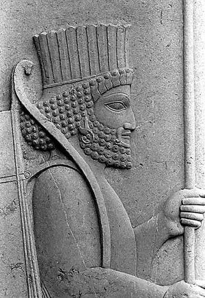 Soldier-Of-Achaemenid-Ancient.ir-10.jpg