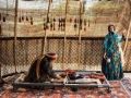 تصویر بندانگشتی از نسخهٔ مورخ ‏۱۱ نوامبر ۲۰۲۵، ساعت ۱۳:۰۶
