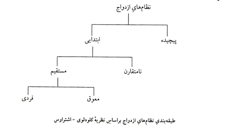 پرونده:Screenshot 2025-12-15 151630.png